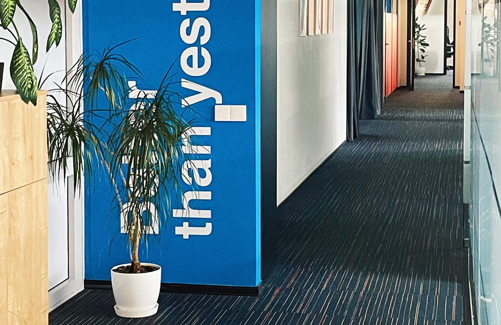 Office plants at Paysera.